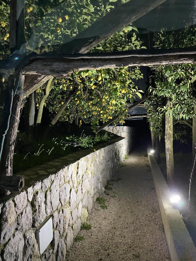 "Il Fienile Di Zia Teresa" Vila Massa Lubrense Exterior foto